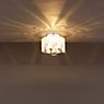Absolut Lighting Shining wall/ceiling light Bombay