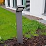 Albert Leuchten 2296 Bollard Light LED anthracite - 622296 , discontinued product application picture