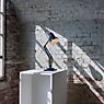 Anglepoise Original 1227 Brass Desk Lamp grey application picture