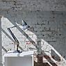 Anglepoise Original 1227 Brass Skrivebordslampe blå ansøgning billede