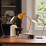Anglepoise Type 75 Mini Lampada da tavolo dorato - immagine di applicazione