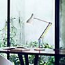 Anglepoise Type 75 Paul Smith Edition Desk Lamp Edition Six application picture
