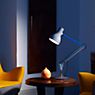 Anglepoise Type 75 Paul Smith Edition Desk Lamp Edition Six application picture