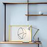Anglepoise Type 75 Paul Smith Edition Desk Lamp Edition Three application picture