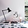 Anglepoise Type 80 Desk Lamp green application picture