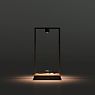Artemide Curiosity Lampe de table LED noir, 36 cm, avec diffuseur en verre