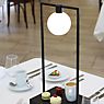 Artemide Curiosity Table Lamp LED black, 36 cm, with glass diffuser application picture