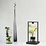 Artemide Curiosity Table Lamp LED black - 45 cm - focus application picture