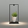 Artemide Curiosity Table Lamp LED black - 45 cm - focus