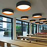 Artemide Tagora, lámpara de techo LED negro/naranja - ø97 cm - ejemplo de uso previsto