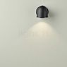 B.lux Speers Wall Light LED Outdoor black