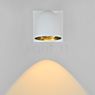 B.lux Speers Wall Light LED white/brass