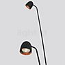 B.lux Speers, lámpara de pie LED negro/cobre
