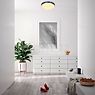 Bankamp Basic Ceiling Light anthracite matt - ø32 cm application picture