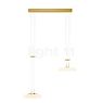 Bankamp Bowl Pendant Light LED 2 lamps brass matt