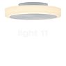 Bankamp Button Wall/Ceiling Light LED aluminium anodised - ø33 cm