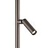 Bankamp Cielo Floor Lamp LED 2 lamps bronze matt