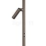 Bankamp Cielo Floor Lamp LED 2 lamps bronze matt