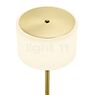 Bankamp Grazia Floor Lamp LED brass matt