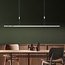 Bankamp Lightline Pendant Light LED nickel matt, Up- & Downlight application picture