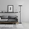 Bankamp Sky Floor Lamp LED 2 lamps anthracite matt application picture