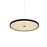 Bankamp Solid Pendant Light LED black