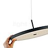 Bankamp Solid Pendant Light LED black