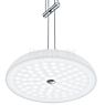 Bankamp Vanity, lámpara de suspensión LED 2 focos latón mate