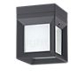 Bega 22453 - Ceiling-/Wall- and Pedestal Light LED graphite - 22453K3