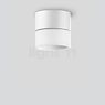 Bega 23846 Ceiling Light LED stainless steel - 23846.2K3