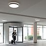 Bega 50653 Plafond-/Wandlamp LED glasdiffusor, wit - 50653.1K3 productafbeelding