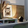 Bega 50916 - Studio Line Lampada da tavolo LED con Base in legno ottone/bianco - 50916.4K3+13277 - immagine di applicazione