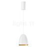 Bega 50958 - Studio Line Lampada a sospensione LED ottone/bianco, Bega Smart App - 50958.4K3+13282