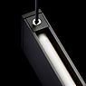 Bega 51264 - Pendant Light LED black - 51264.5K3