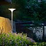 Bega 84889 - UniLink® Paletto luminoso LED con picchetto da interrare per giardino grafite - 84889K3 - immagine di applicazione