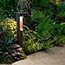 Bega 85184 - Bollard Light LED graphite - 85184K3 application picture