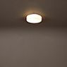 Bega 89009 - Wall/Ceiling Light white - 2,700 K - 89009K27