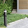 Bega 99856 - System Bollard Light LED with wooden tube - 99856K3+84464 application picture