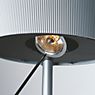 Belux Diogenes Floor Lamp LED graphite