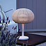 Bover Garota Table Lamp LED ivory , discontinued product application picture