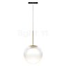 Bruck Blop MOLL Pendant Light LED for All-in Track champagne/black