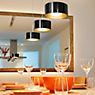 Bruck Cantara Pendant Light for Duolare Track chrome glossy/glass black/gold - 19 cm application picture
