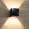 Bruck Cranny Applique LED noir/doré - 2.700 K , Vente d'entrepôt, neuf, emballage d'origine - produit en situation