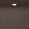 Bruck Euclid Ceiling Light LED low voltage white - dim to warm