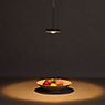 Bruck Euclid Pendant Light LED Low Voltage in the 3D viewing mode for a closer look