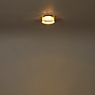 Bruck Opto Lampada da soffitto/plafoniera LED ottone