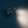 Catellani & Smith CicloItalia Flex W2 Wall Light black/brass