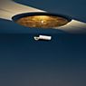 Catellani & Smith DiscO Lampada da soffitto LED dorato