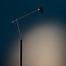 Catellani & Smith Ettorino F Floor Lamp LED black