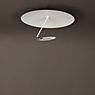 Catellani & Smith Lederam C Ceiling Light LED in the 3D viewing mode for a closer look